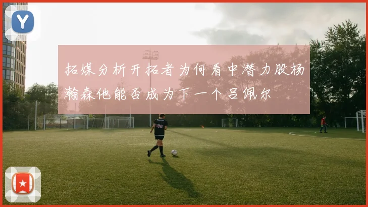 拓媒分析开拓者为何看中潜力股杨瀚森他能否成为下一个吕佩尔