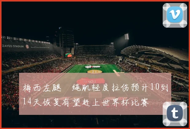 梅西左腿腘绳肌轻度拉伤预计10到14天恢复有望赶上世界杯比赛