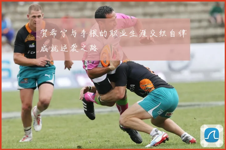 贺希宁与李根的职业生涯交织自律成就逆袭之路