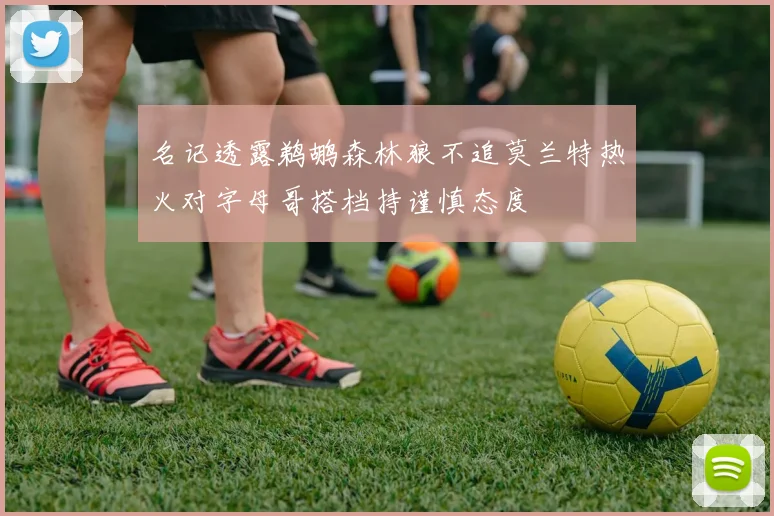 名记透露鹈鹕森林狼不追莫兰特热火对字母哥搭档持谨慎态度